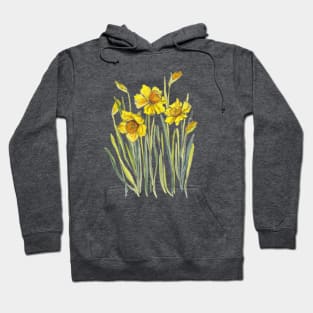 Yellow Daffodils Hoodie